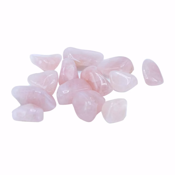 Tumble Stone - Rose Quartz M 24Pcs
