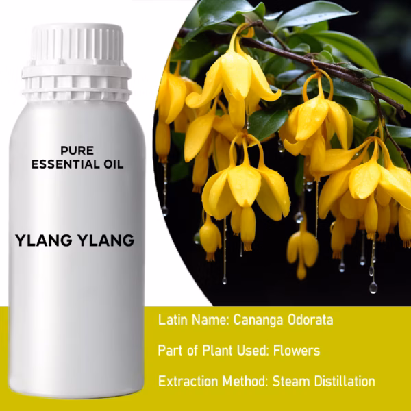 Ylang Ylang Ren Æterisk Olie 500ml