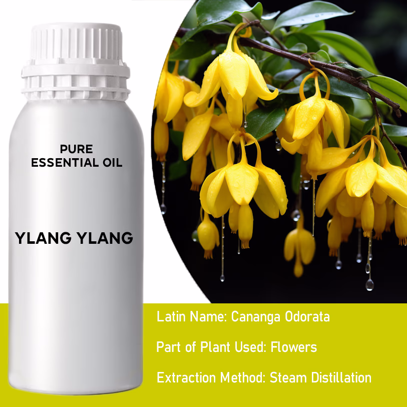 Ylang Ylang I Pure Essential Oil 500ml