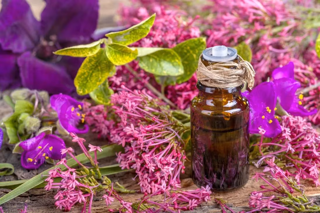 Clary Sage