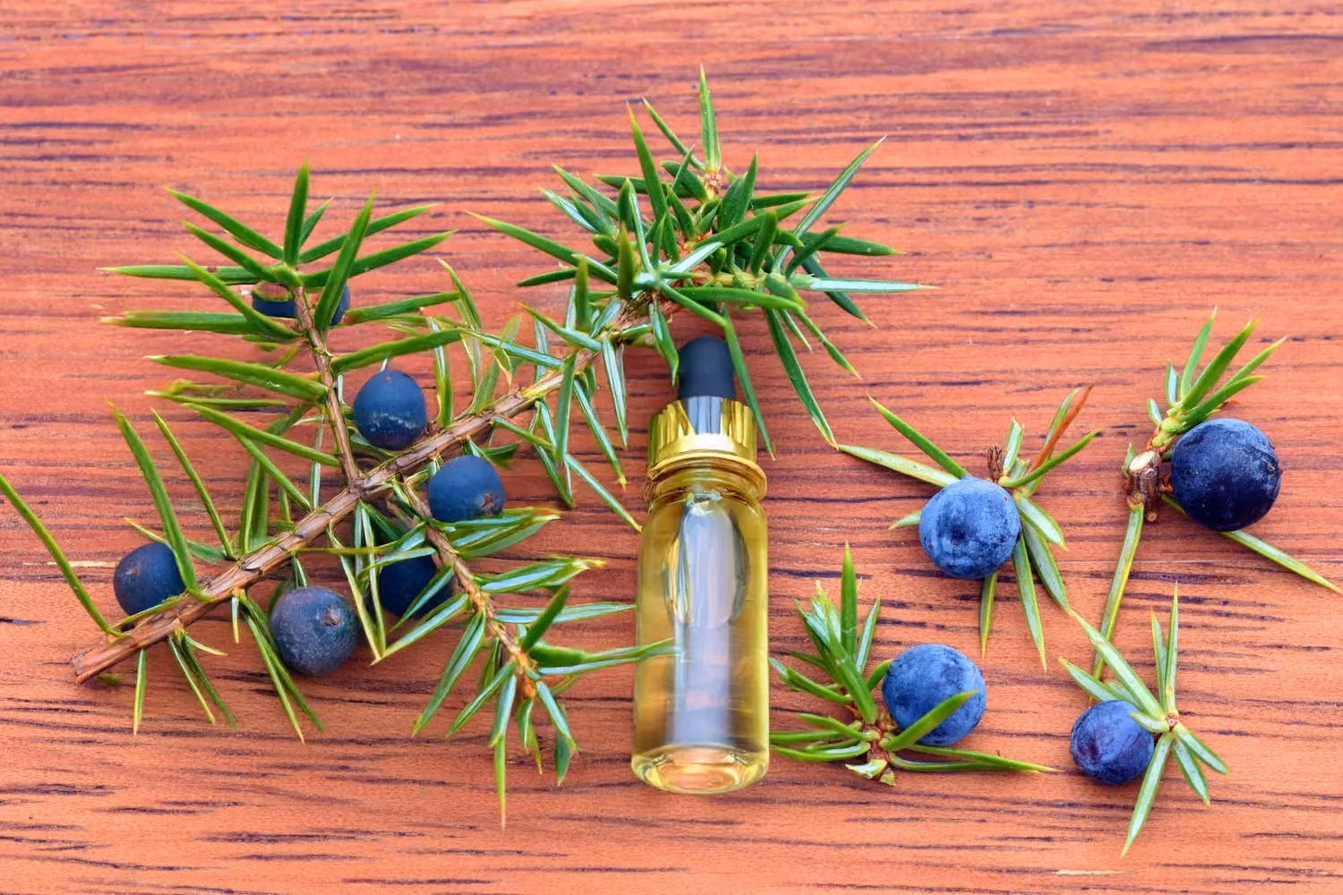 Juniperberry