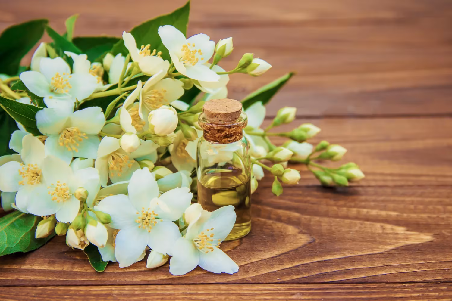 Neroli