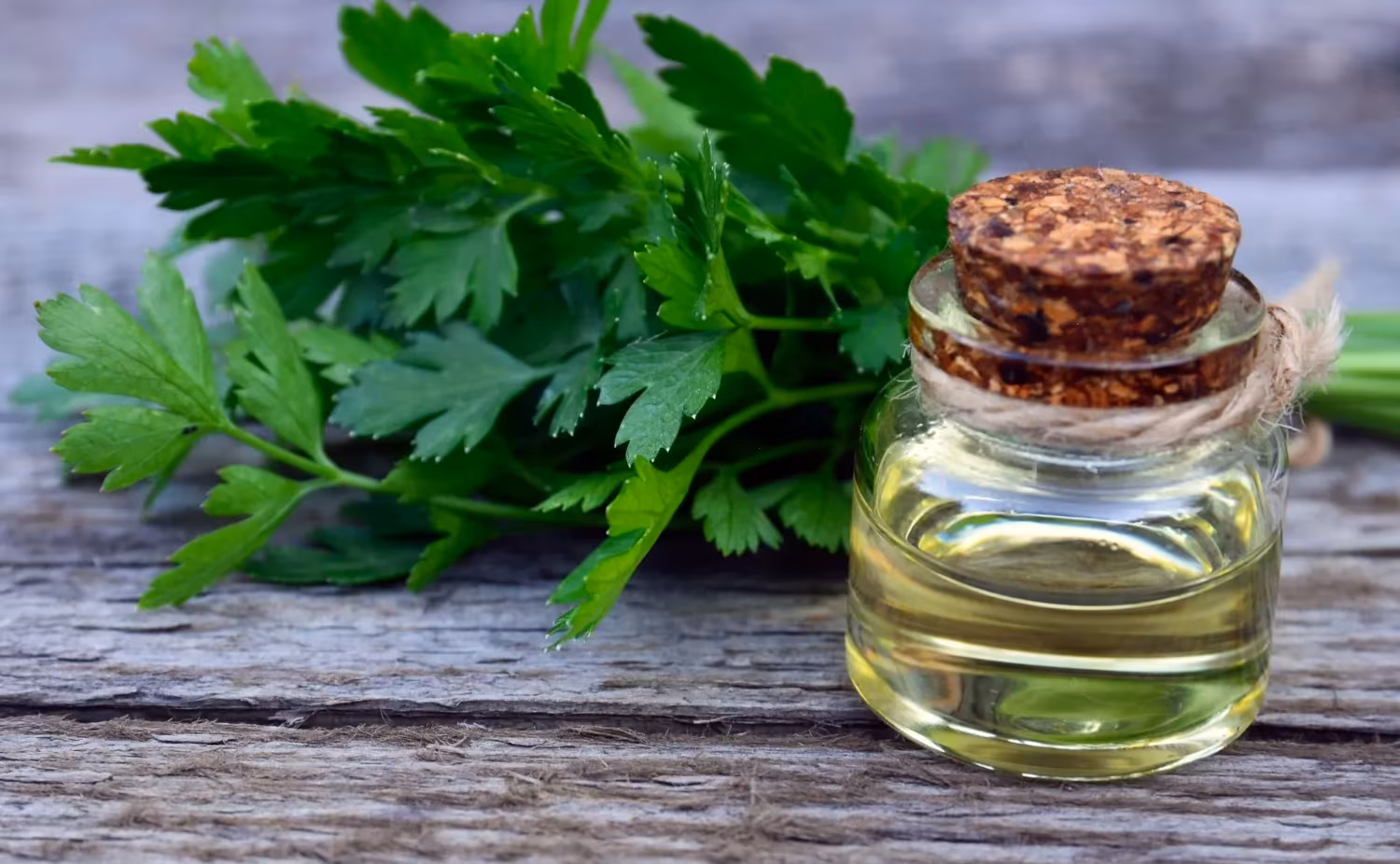 Parsley