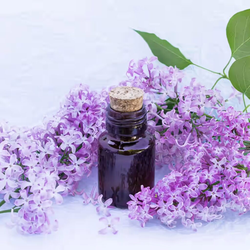 Essential-Oil-Lavender